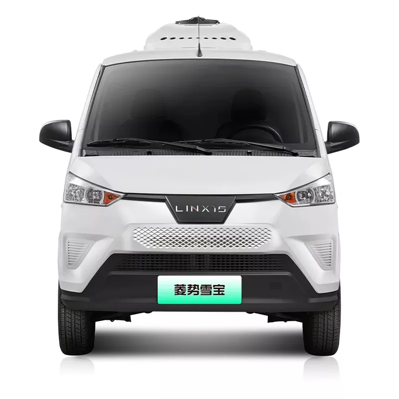 ʻO Van Fitririgated Van