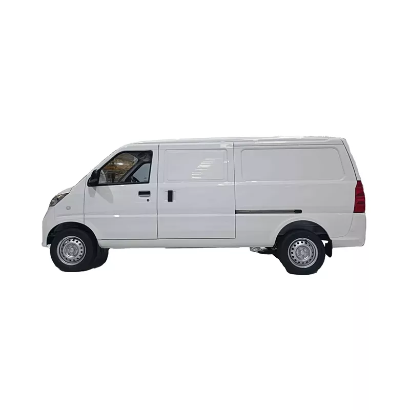 Wulina g100 cargo van